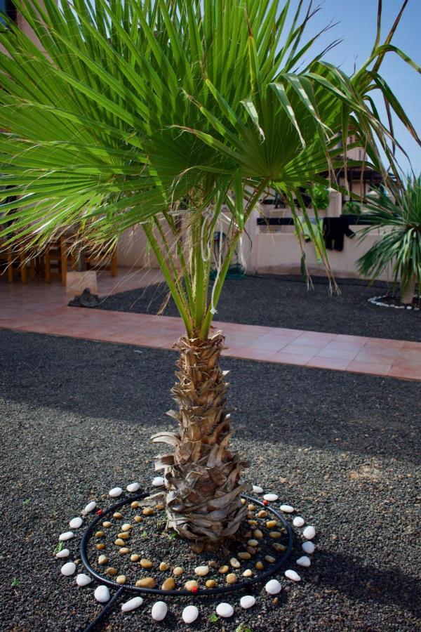 The Wind'S Breath, Perfect For Relaxing Getaway Villa La Oliva Eksteriør bilde